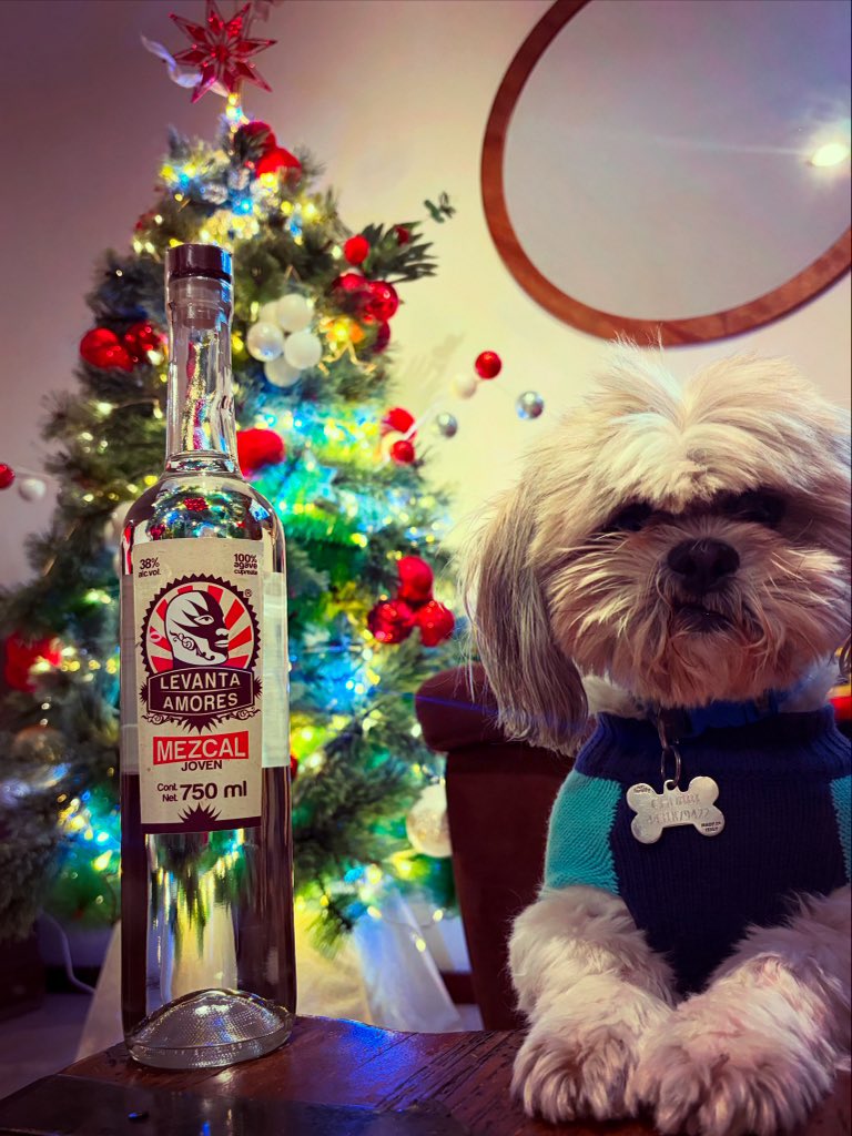 MezcaLevantAmor's tweet photo. Cuenta regresiva !!! Seguiremos atendiendo sus pedidos para esta #navidad #2025 #mezcal #levantaamores https://t.co/zJPf0F8eN3