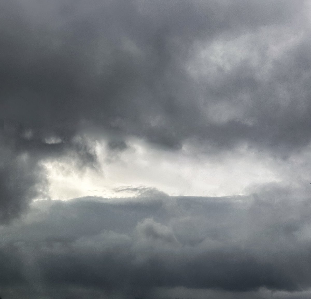 Swati Chakraborty | photosbyswati.eth tweet media