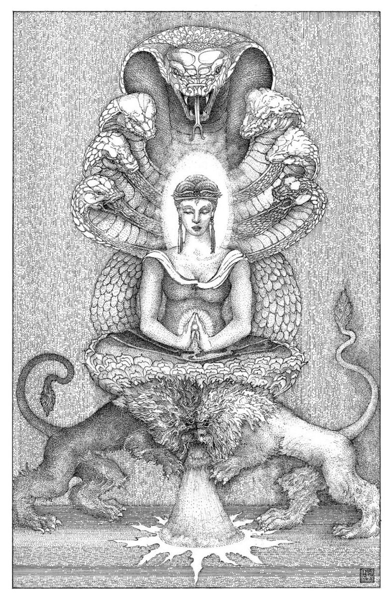 0ccultbot's tweet image. 