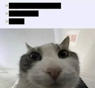 hourly_shitpost's tweet photo. https://t.co/RDBSsyQlJP