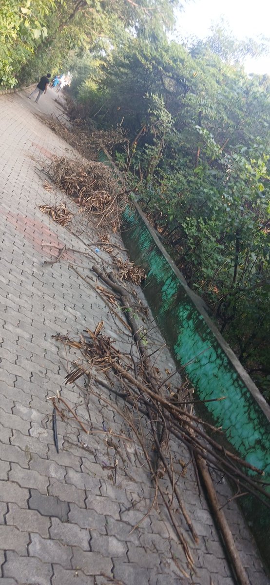 gprahu76's tweet photo. @chennaicorp  please clear the blockage in kasturbha nagar adyar walkway thank you https://t.co/DWf99HMyu5