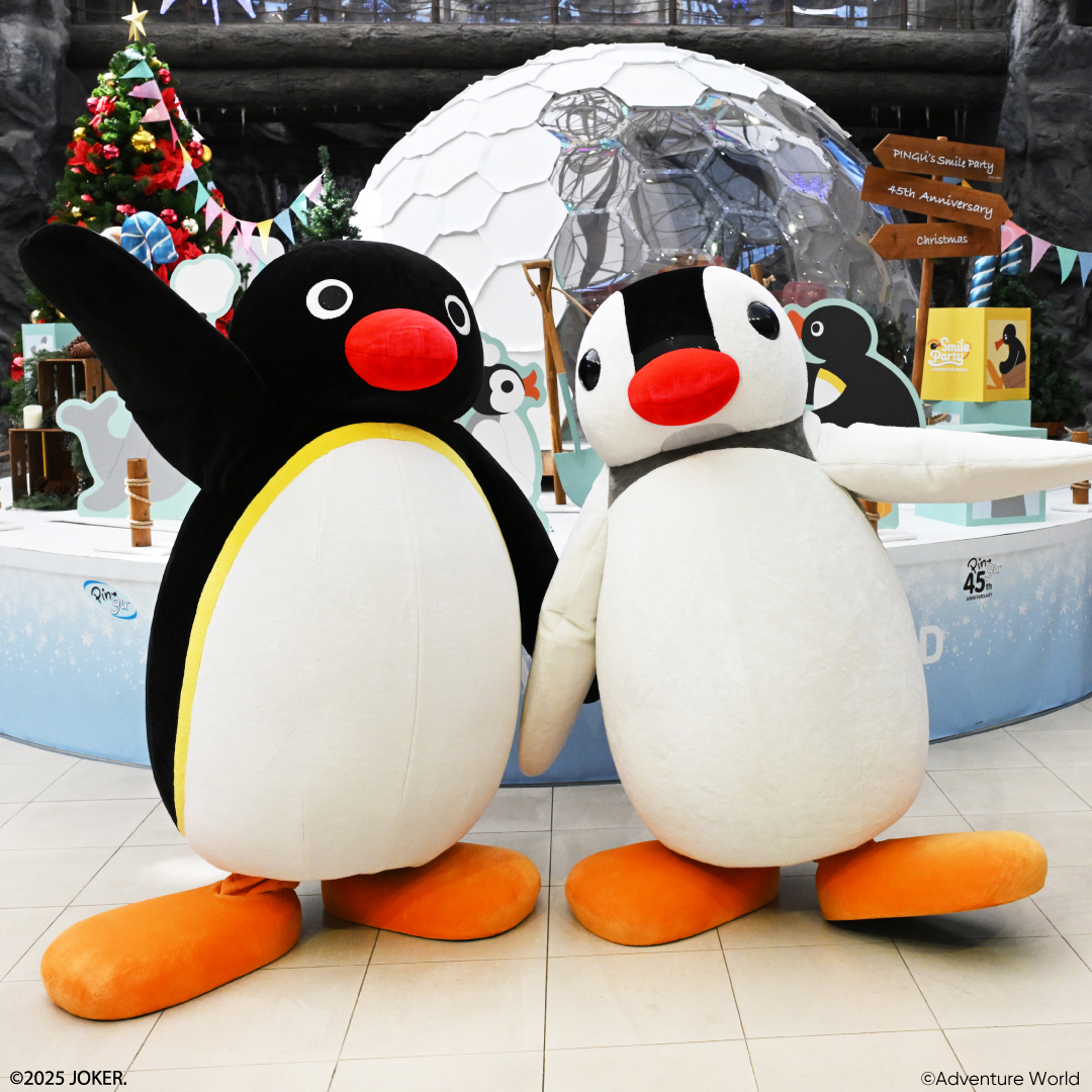 penguin.bakatareさん専用 61qGuwC2+nL.jpg_BO30,255,255,