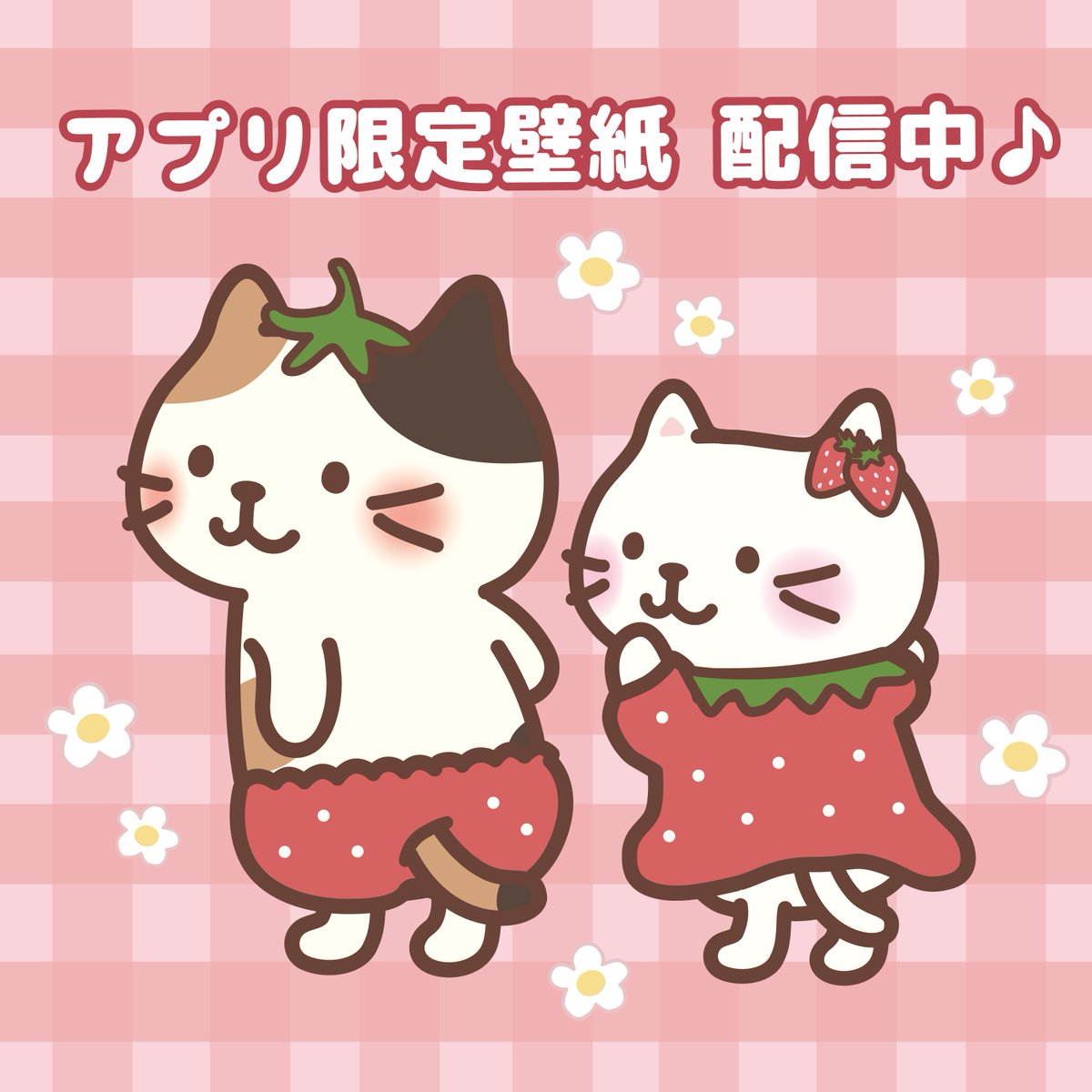 ふくふくにゃんこ　Fuku Fuku Nyanko 七福神 Fuku Fuku Nyanko(ふくふくにゃんこ) (@fukufuku_nyanko) / Posts / X
