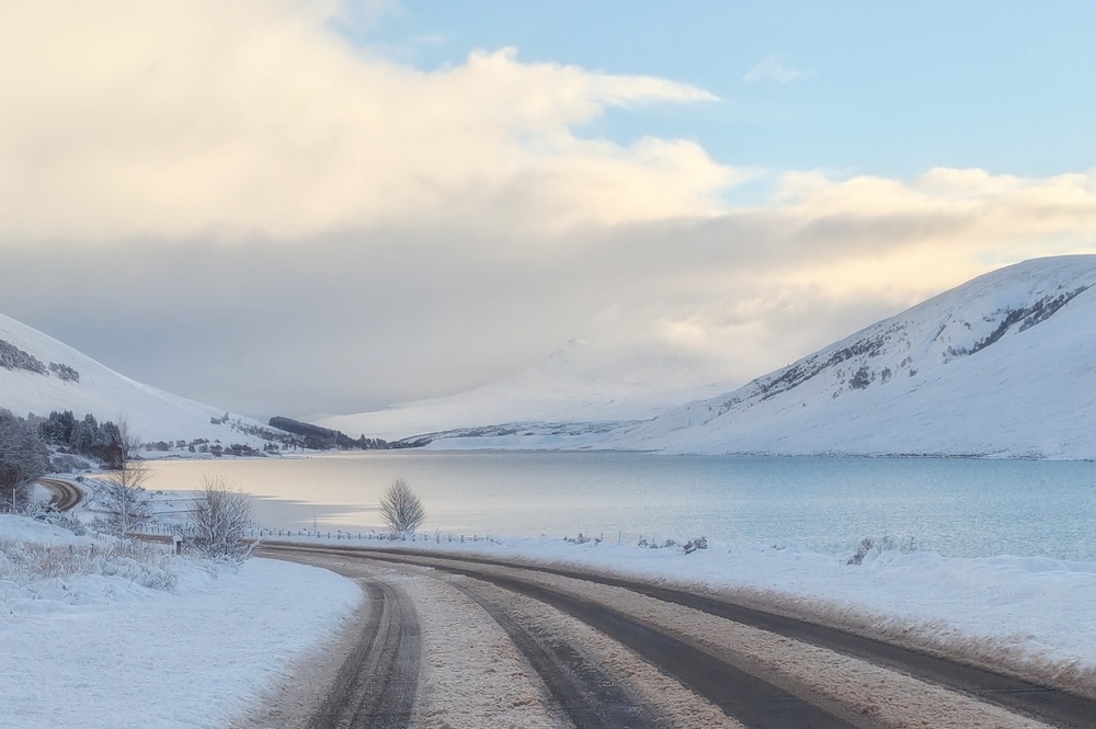 tweetbytheriver's tweet image. 'Like grandchildren accumulating memories and absorbing knowledge, the croft is storing information for future years in the seed bank of soil.'

@RedRiverCroft looks back over a year of nurturing child and croft caughtbytheriver.net/2025/12/shadow…