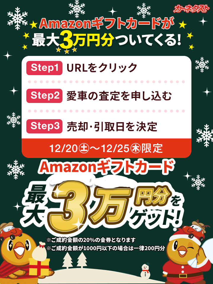 ◤ ◥ 今だけ!!最大3万円の クリスマスプレゼント!!!! ◣ ◢ この豪華