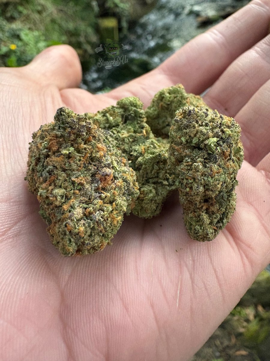 _StonersRUs_'s tweet image. 5 benefits of using Marijuana 🌿

• Helps with depression &amp;amp; social anxiety 
• Helps those who suffer with epilepsy
• Relieves chronic pain
• Helps with multiple sclerosis
• Anti-cancer effects