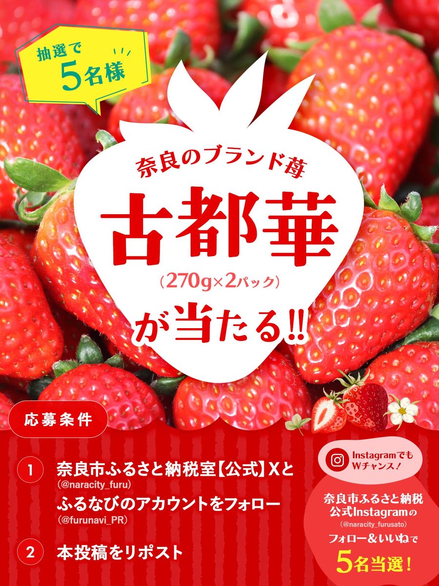 🍯🧸🍯キューピーハニー🍯🧸🍯 (@sakura5144) / Posts / X