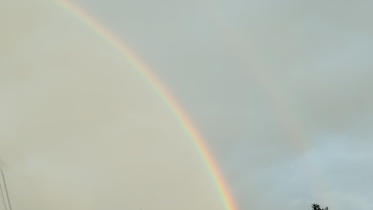 今朝出てた強めの虹、ダブルレインボーという珍しいやつみたいだぼー