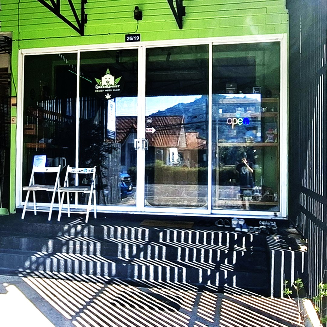 Green Ghost 🌿👻 tweet media