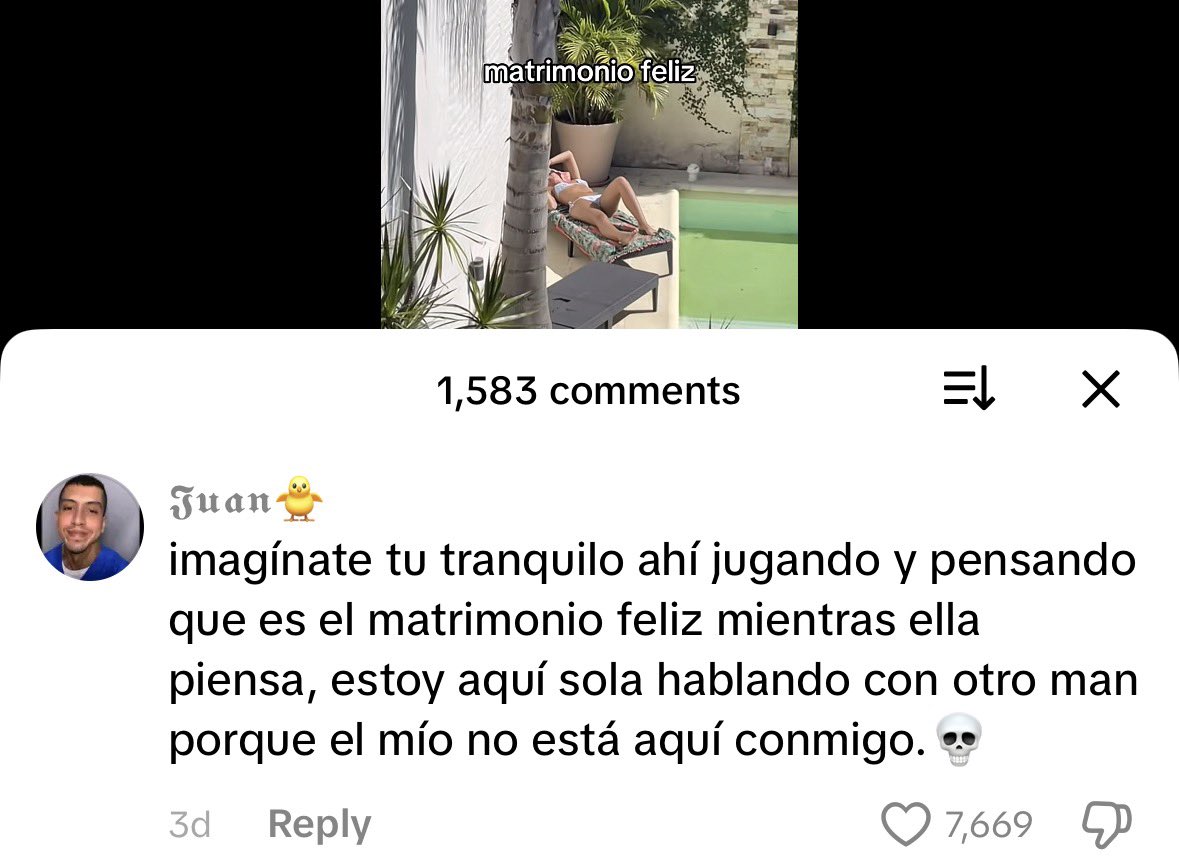 Proyectadas Jamón tweet media