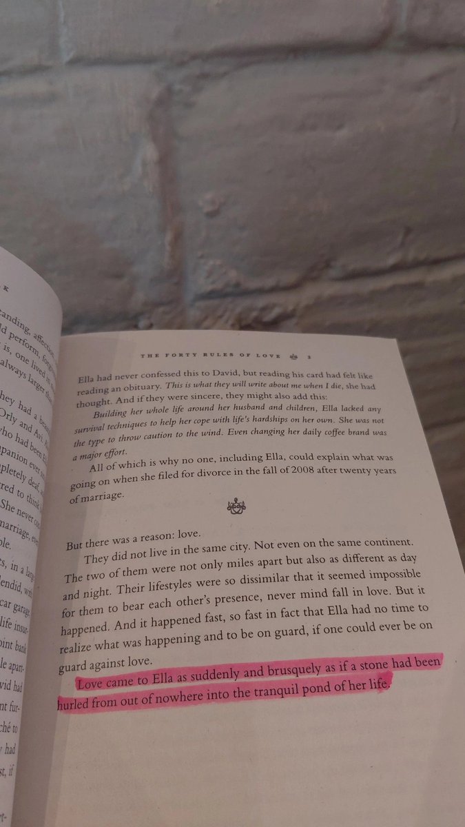 ishrathmX's tweet image. Current read. Loving the vibes of this book already. The diction in the prologue alone has made me want to neglect life for a few days and go all in into this book!! ✨️📖 #fortyrulesoflove #elifshafak