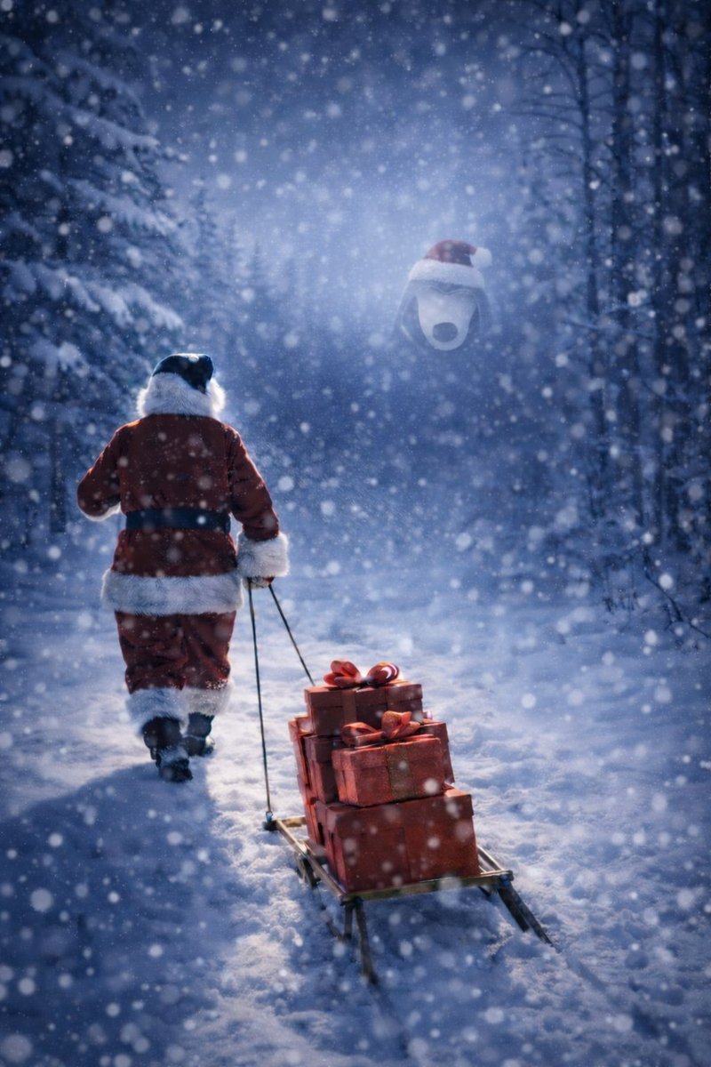 DogtHouse tweet media