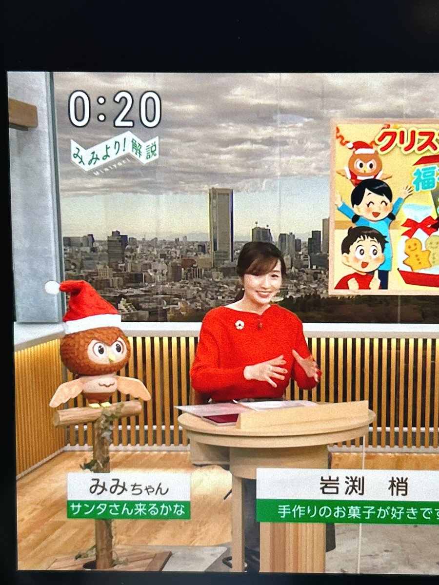 みみちゃんサンタ帽かわいい🎅