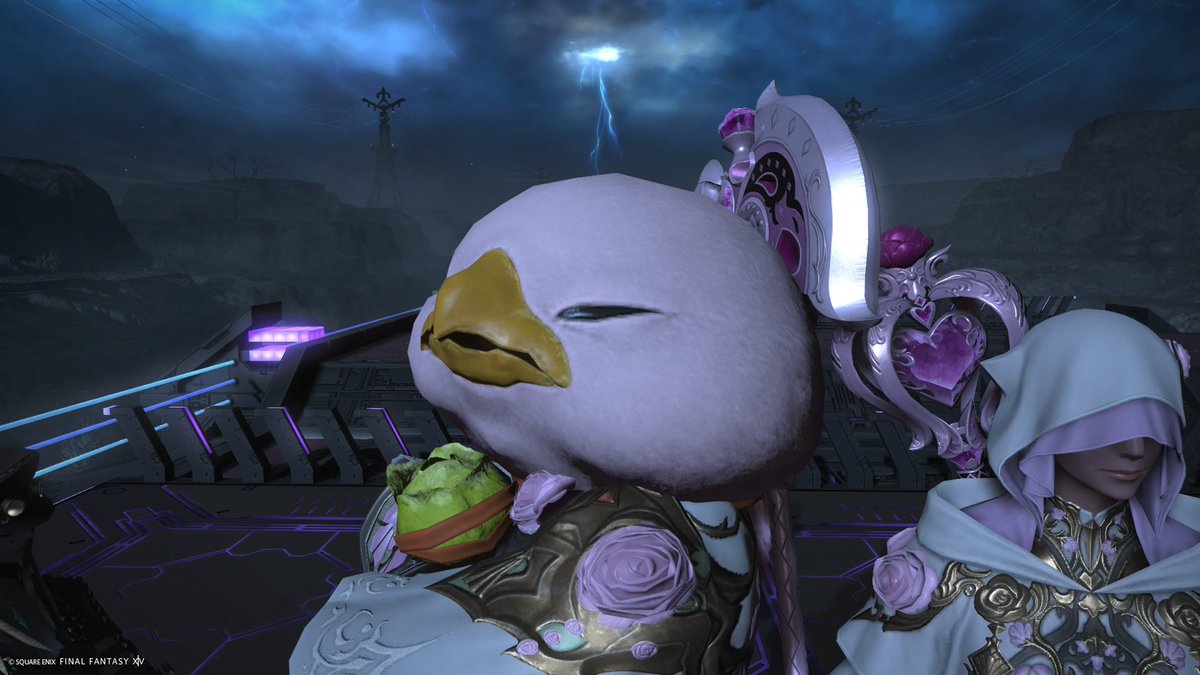 ほんのり色付いてて春の訪れを感じた12月