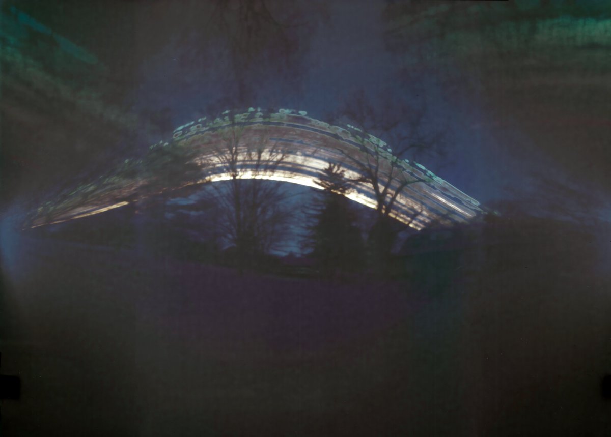 Brian Bartel @bbartel.bsky.social tweet media