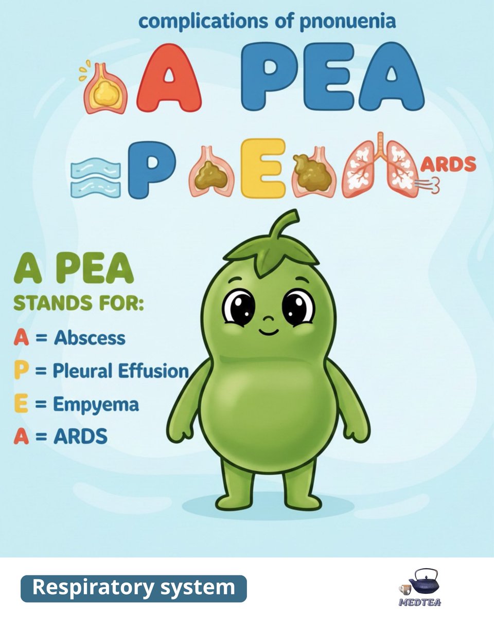 _t_crown's tweet photo. 🫁Respiratory System Mnemonics

🟢Pneumonia complication:
It can be divided into two groups 

🟡pulmonary ( A PEA ) :
Lung Abcess - Pelural effusion/ pneumothorax- Empyme - ARDs

#RespiratoryHealth #medicine #SmartStudy #OSCE #طب_بشري https://t.co/snncJ6YXWc