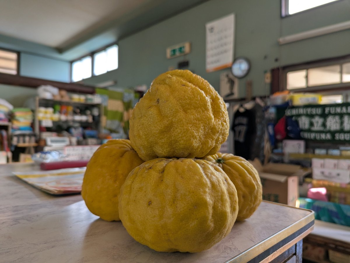 「ふるさとの　思い出と浸る　ゆず湯かな」

皆様こんにちは😊今日は冬至です。予告通り天然無農薬の柚子を使ったゆず湯を露天風呂で実施致します。また、内湯の熱い湯も「ゆずの香り湯」にします！ご家族揃って無病息災を祈願しましょう。皆様のお越しを心よりお待ちしております🙇