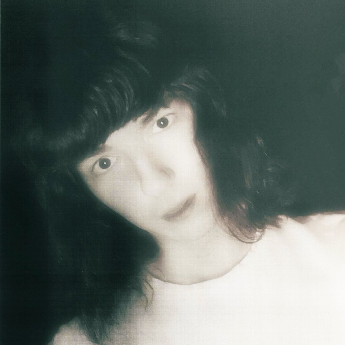 tessa ⋆˚🐾˖° tweet media