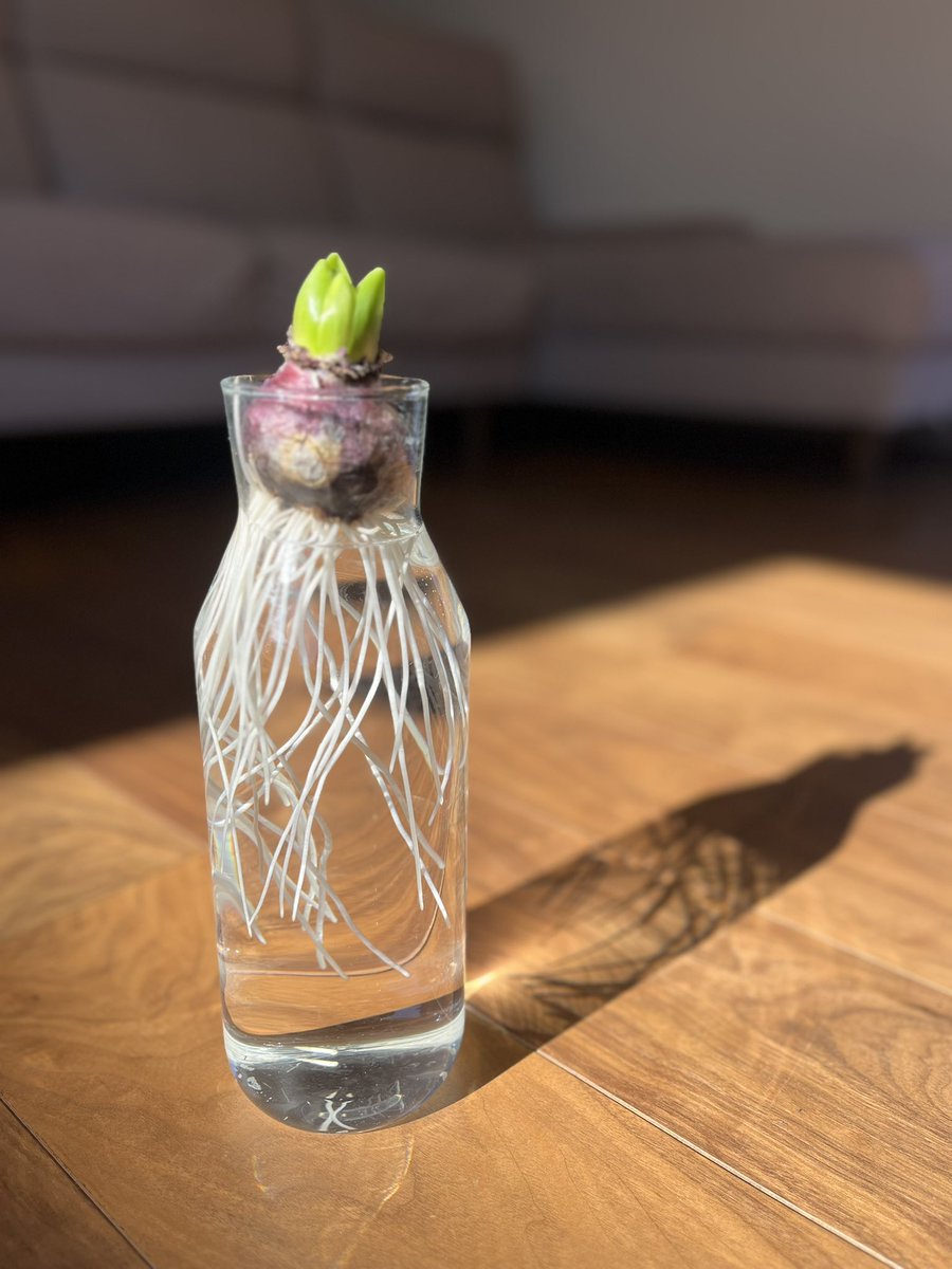 haruka.h tweet media