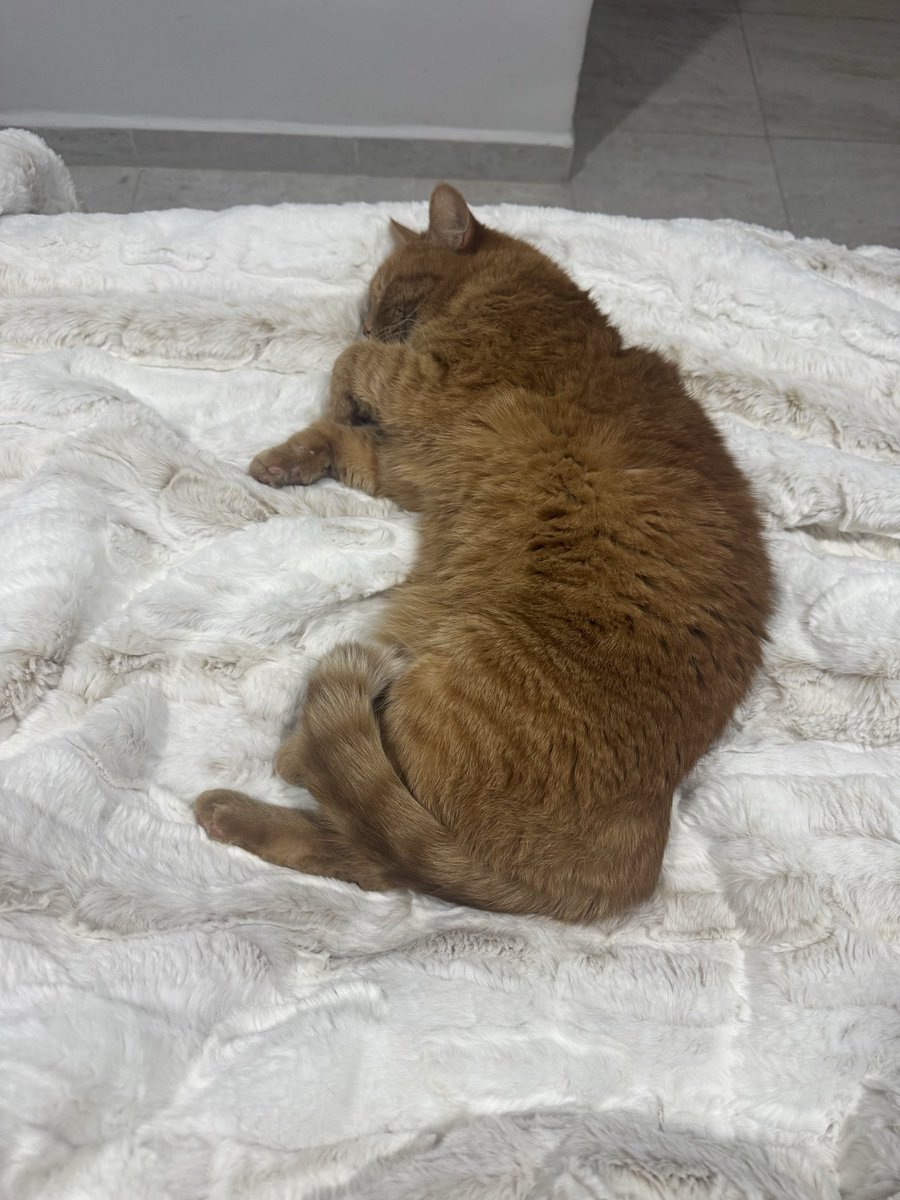 Hun cboio enla bida rehal tweet media