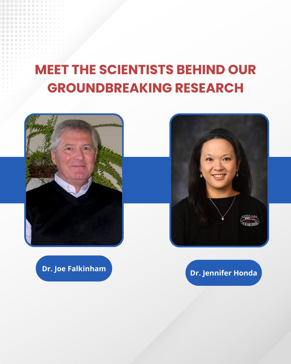 NTM Info & Research tweet media