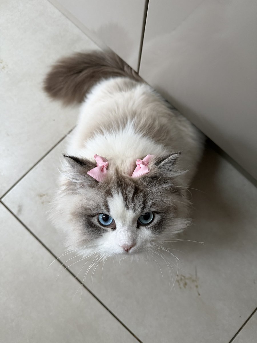 how it feels like it looks when you're short and angry