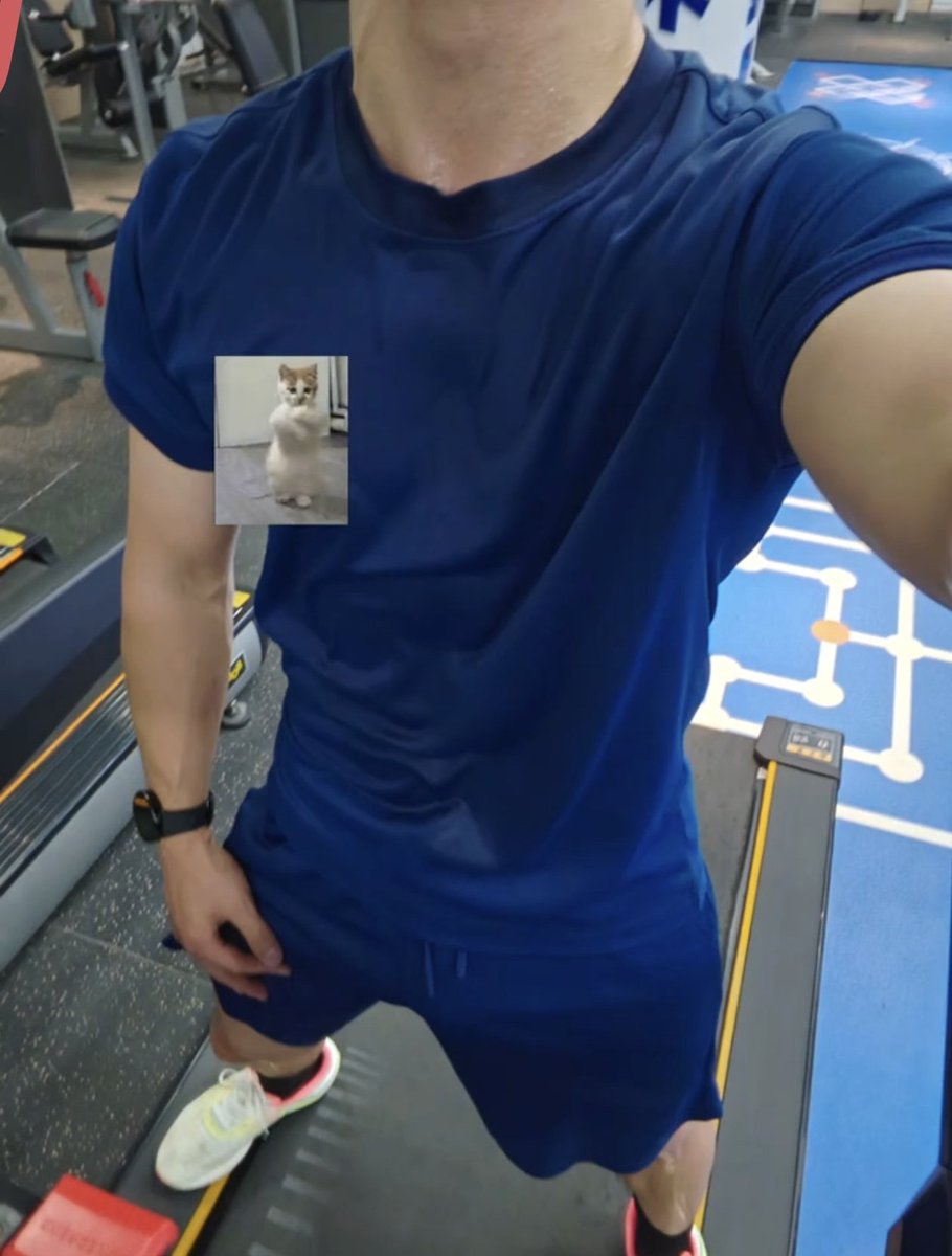 蓝憨憨(出原味) tweet media