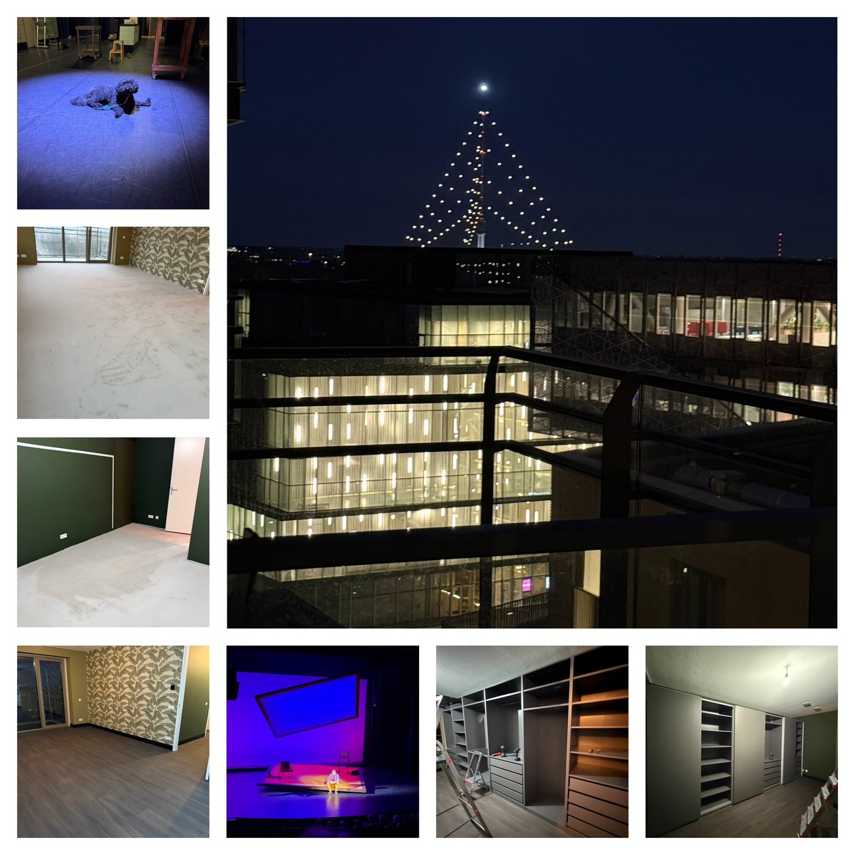 Edithmolmans's tweet image. #deweekisweerom