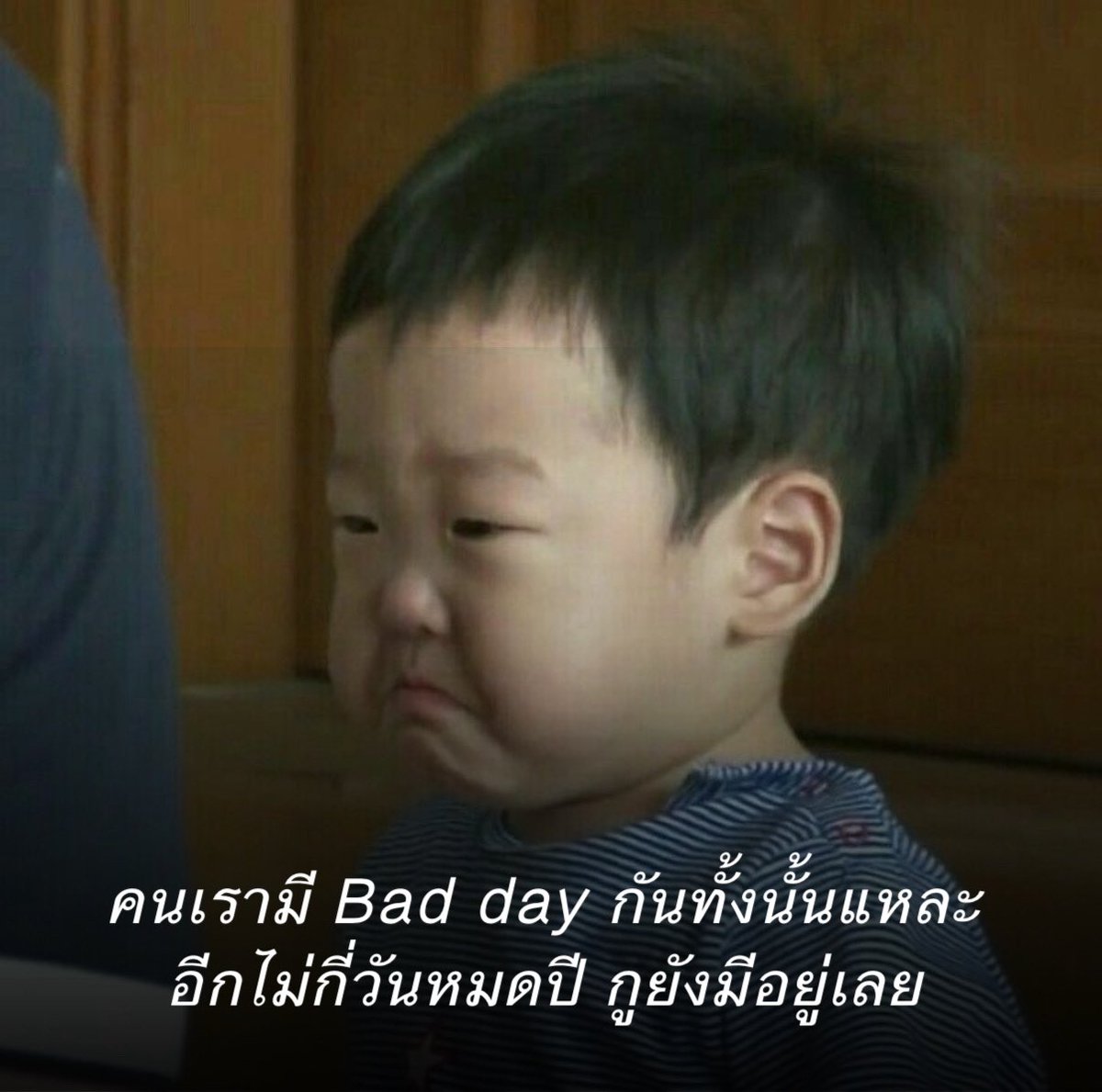 lolong___'s tweet image. สรุปทั้งปี