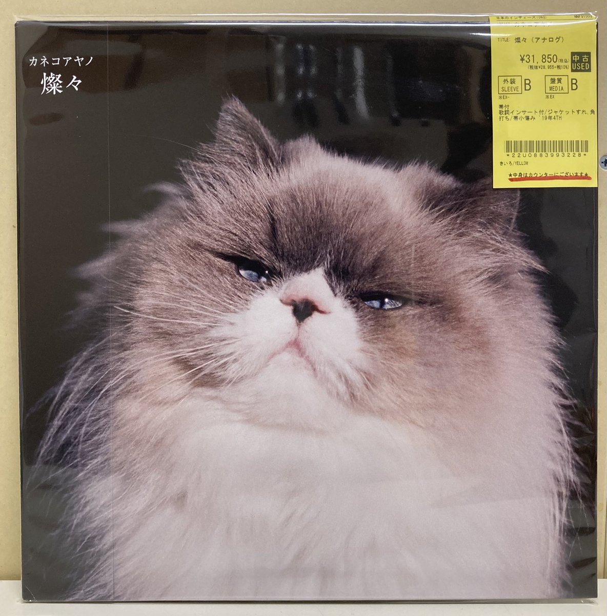 🐱中古新入荷情報🐱 カネコアヤノ/アナログ盤,『燦々』『祝祭』2