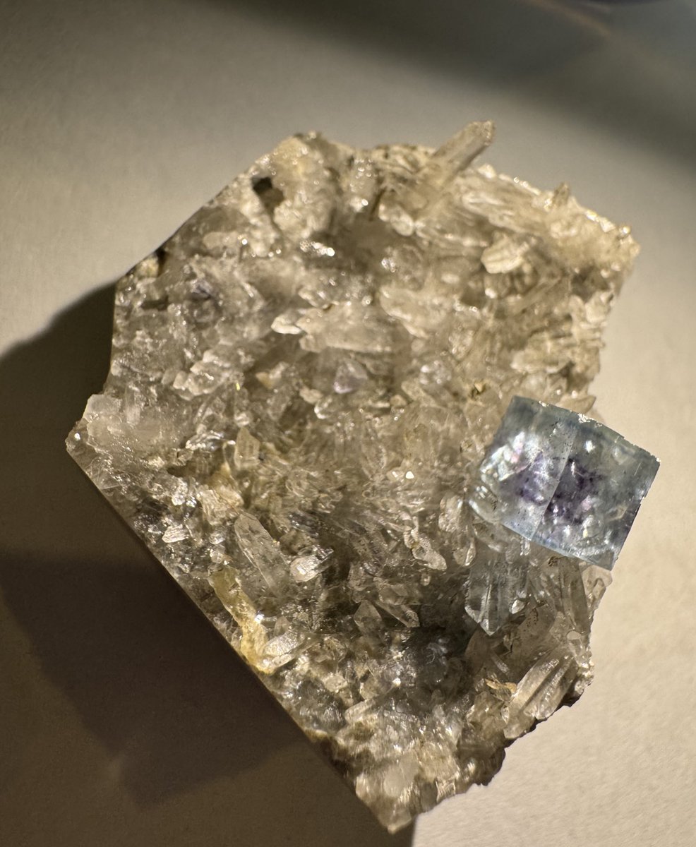 Quartzarium's tweet photo. 内モンゴル産ブルーフローライト🧊𓂃꙳⋆ https://t.co/CEX0EPIQgE