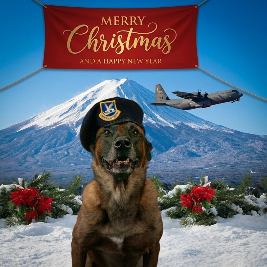Wishing you a Merry Christmas and a Happy New Year ! 横田基地より