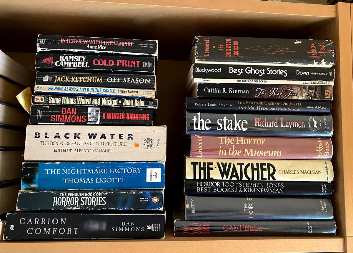 FictionCraig's tweet image. THEME, PLOT &amp;amp; WHATNOT: What genre(s) should you write? It’s simple; check for yourself. The clues are there in the books you love most on your shelf. #Books, #AmEditing, #AmWriting, #WritersLife