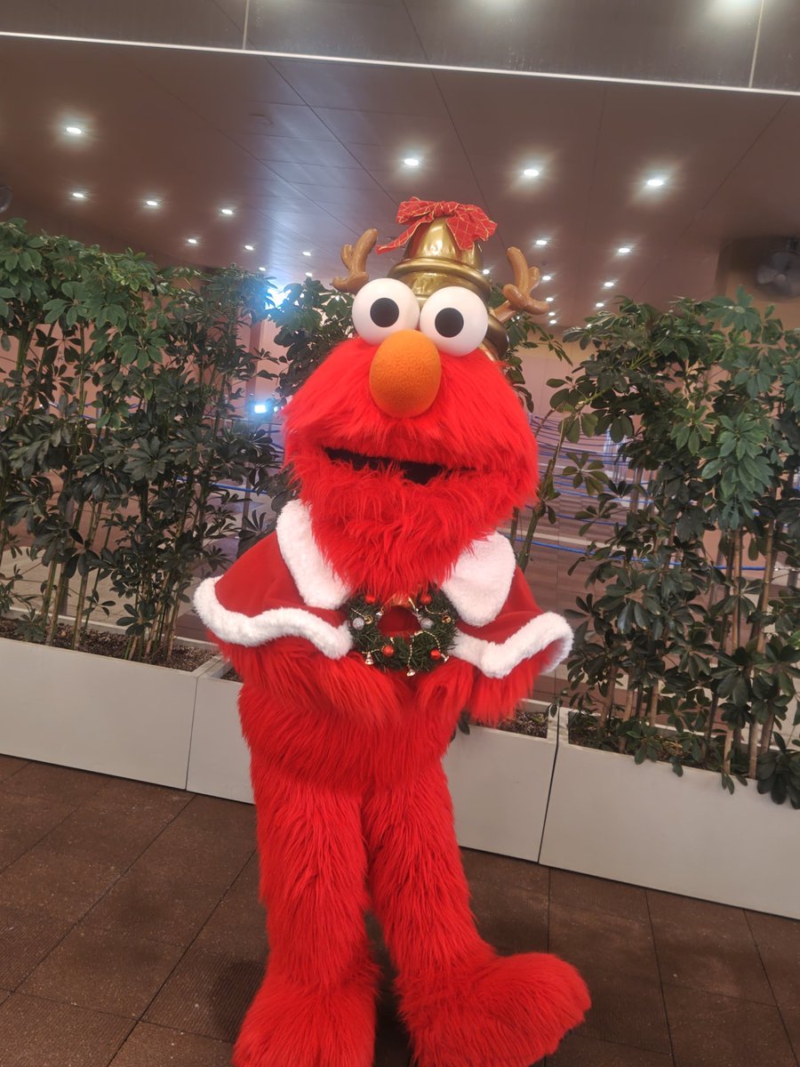 ぶんちゃん🍖🍖🍖 (@takanamibunchan) / Posts / X