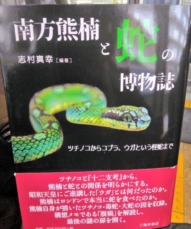 赤城美奈 👁 粘菌画家 tweet media