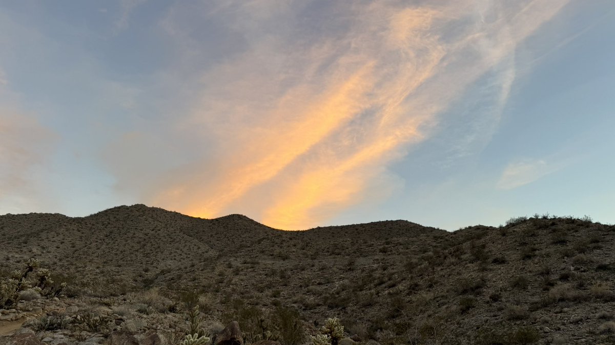 Zachary Ellison, MPA 😎📰 tweet media