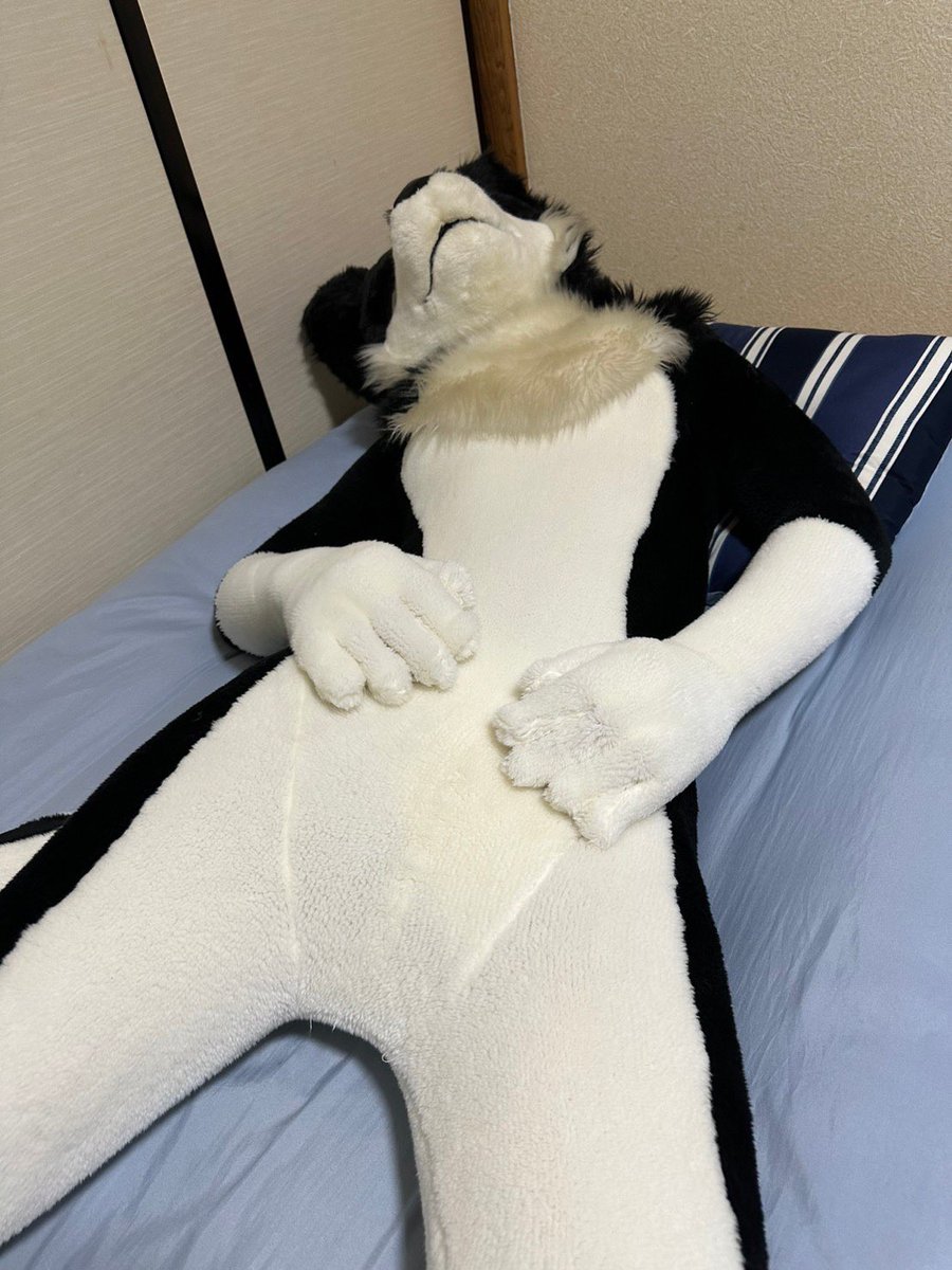 月夜🦨🦈 (@zzz123880) / Posts / X