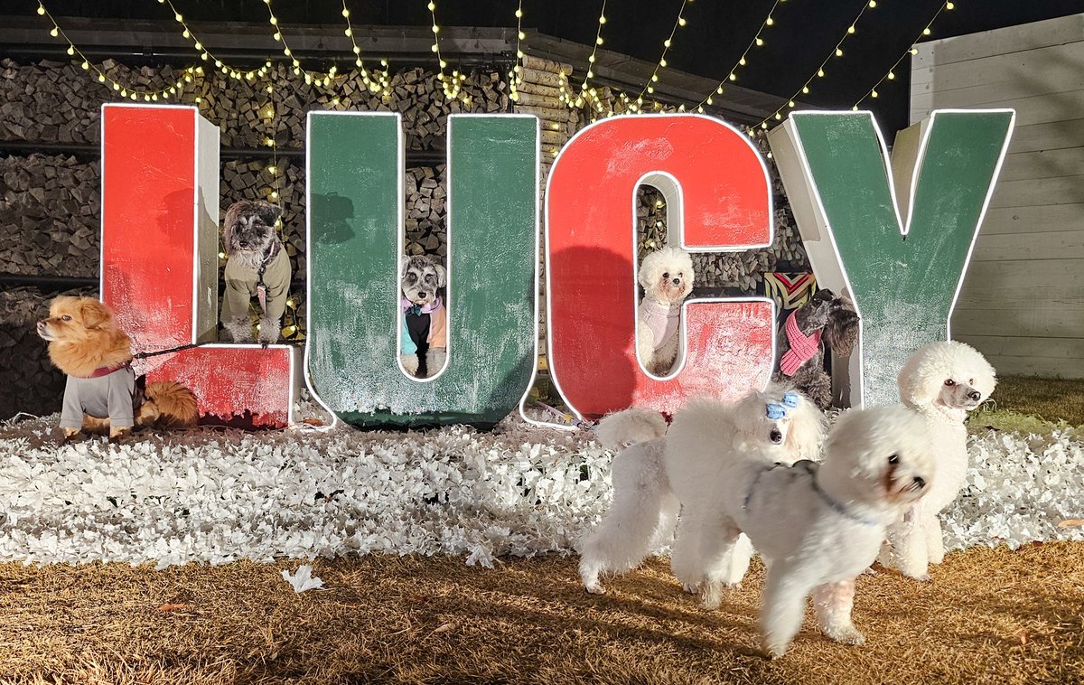 Mill_U._.U (@ch11_18) / Posts / X