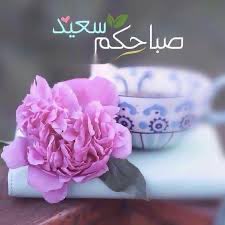 في كل صباح، يمنحك الله صفحة جديدة…فاكتب عليها ما يليق بقلبك…الصباح فرصة للتفاؤل، للبدء من جديد،وللإيمان بأن القادم أجمل بإذن الله🙏🏻🌷🍃🍃
