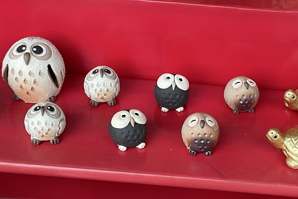 フクロウ様　まとめ 世界に生息する神秘的なフクロウ類の生態を200点近くの写真で紹介する