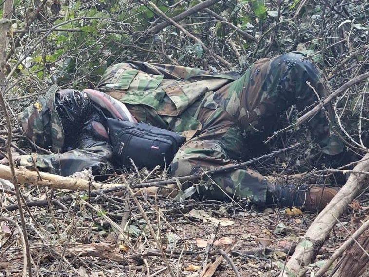 Army Military Force tweet media