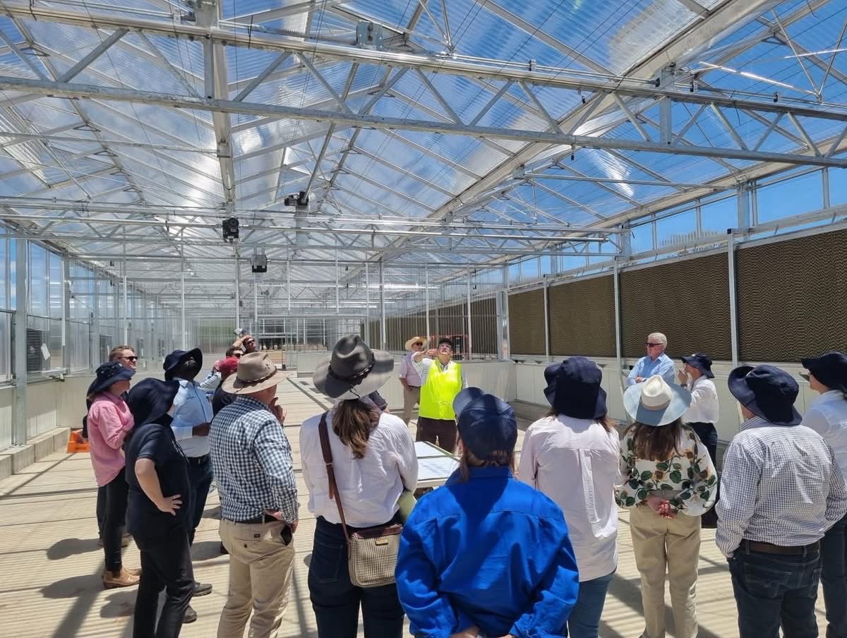 Rice Breeding Australia tweet media