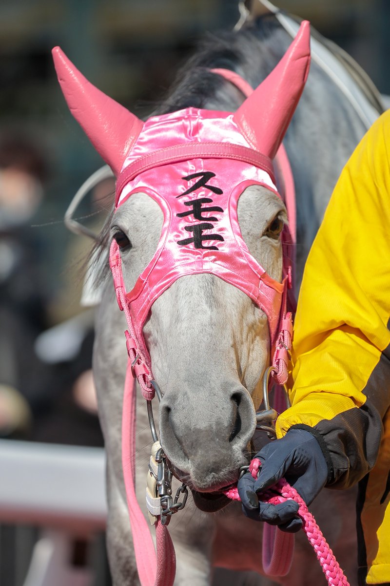 KdKR (@crasher0701) / Posts / X