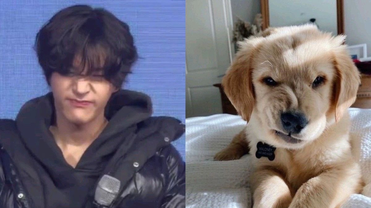 patchypaws's tweet image. something has irked me. cant U tell