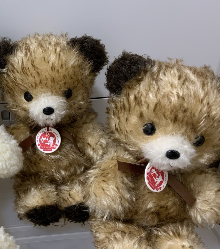 ぬいぐるみの童心【公式】🥺 (@Dousin_kawaii) / Posts / X