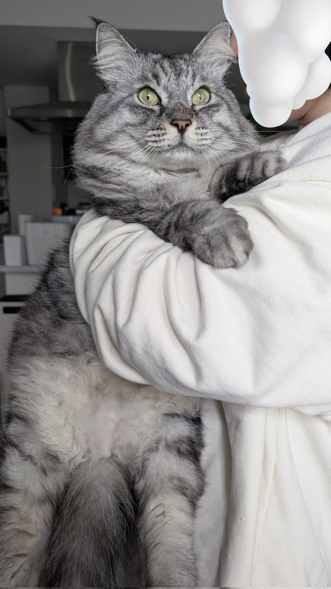 Post by 鈴木 巧TakumiSuzuki_official on X: でかわいい🩷