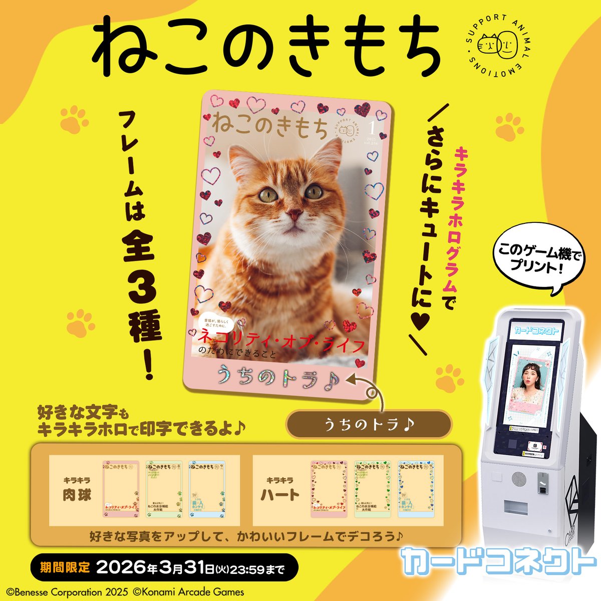 リクエスト❗️　きらめきニャンコ　「瞳はオッドアイ」 妖瞳の二色猫 (@EYES895077881) / Posts / X