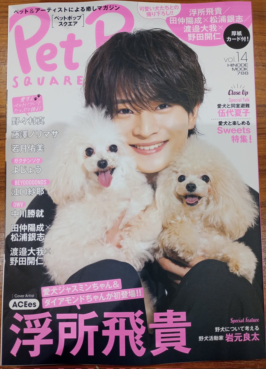 美少年(ACEes) 浮所飛貴 缶バッジ×24 ACEes 浮所飛貴 那須雄登 缶バッジ 2個セット - メルカリ