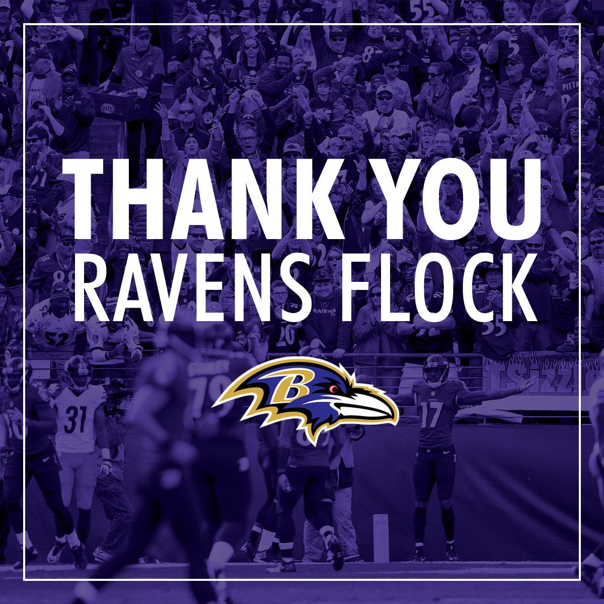 Ravens Nation 𝙇𝙄𝙑𝙀 (@liveravennation) on Twitter photo 