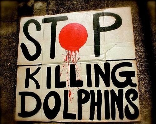 janischshane's tweet image. #RedCove 
19 Melon headed whales died in Taiji Japan in the cove. These practices are so outdated I hope one day the world will put pressure on stopping such practices that keep happening in whaling countries. Those whales were more important to be alive than dead. #EndTheCove